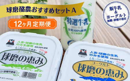 【12ヶ月定期便】球磨酪農おすすめセットA（瓶牛乳&amp;ヨーグルト加糖・砂糖不使用）