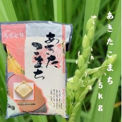 ふるさと納税 十和田市 令和7年産　青森県産あきたこまち白米(真空パック)　精米5kg