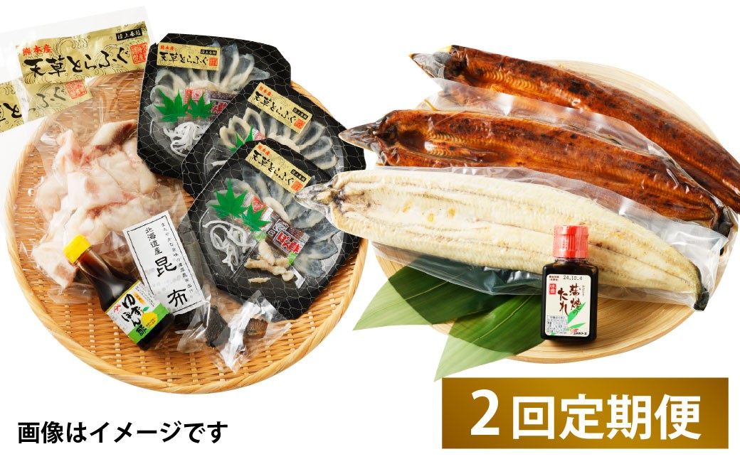 
            【2回定期便】【極】季節めぐり定期便3 ふぐ フグ 河豚 とらふぐ トラフグ てっさ てっちり うなぎ ウナギ 鰻 熊本県 上天草市
          