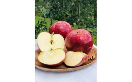 先行受付 シナノリップ（夏りんご）　5kg｜シナノリップ りんご 林檎 夏りんご 先行受付 甘い 果物 フルーツ【012-35】