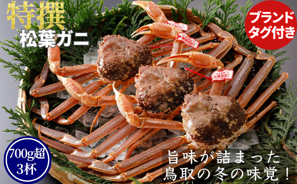 
                  【活物】特撰 松葉がに（タグ付き）700g超の大きいサイズ　特大3杯
                