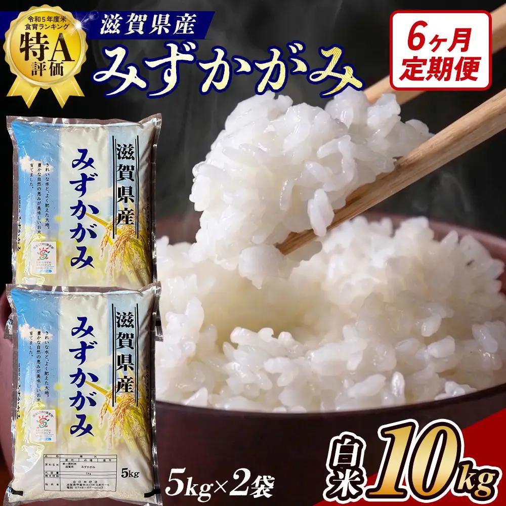 【6ヶ月定期便】【令和7年産】近江米みずかがみ白米10kg（5kg×2袋）