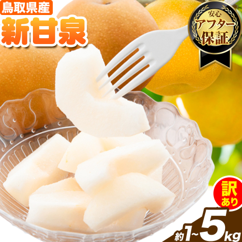 訳あり 新甘泉 約1kg 約3kg 約5kg《2026年8月下旬-9月下旬頃出荷》新甘泉 梨 訳あり ご家庭用 鳥取県 八頭町 なし 果物 フルーツ 特産品 送料無料 果汁 デザート 八頭