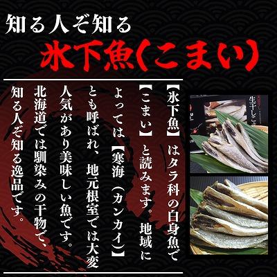 ふるさと納税 根室市 【北海道根室産】生干し氷下魚(こまい)200g×3袋 G-50027 |  | 01
