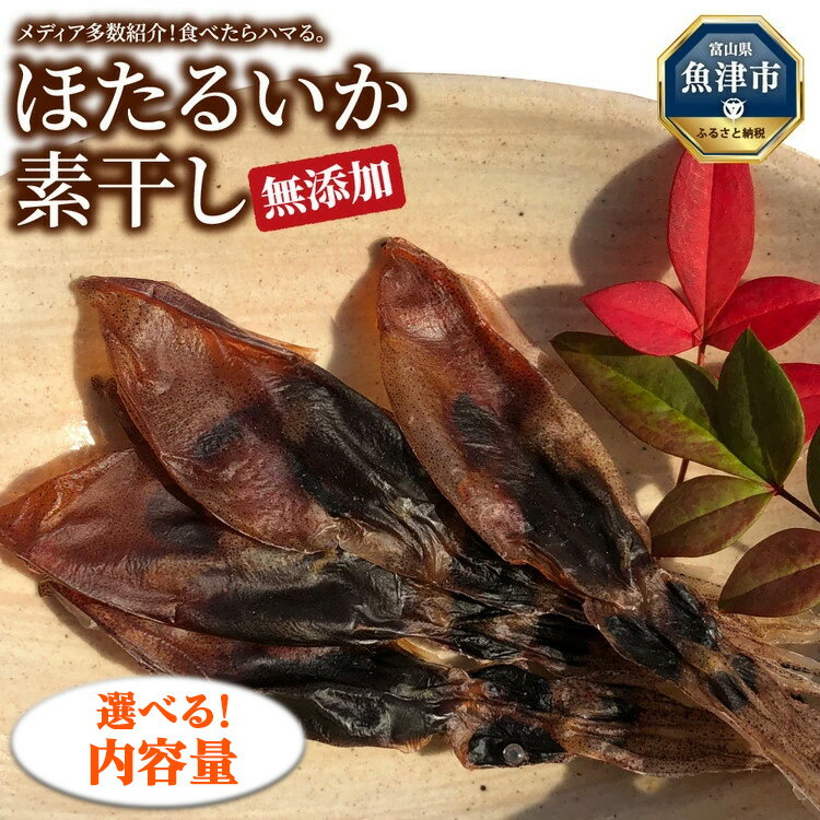 【ふるさと納税】＼選べる内容量／【大量シェア】ホタルイカ素干：浜浦水産シェアセット【加工食品・魚貝類・干物】
