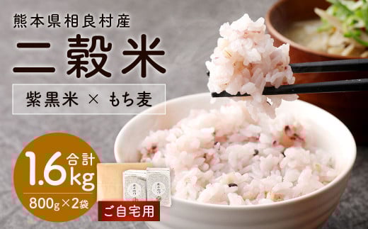 【ご自宅用】二穀米（紫黒米×もち麦）800g×2袋 セット 計1.6kg 米 お米 雑穀 雑穀米 もち麦 国産 ブレンド 雑穀