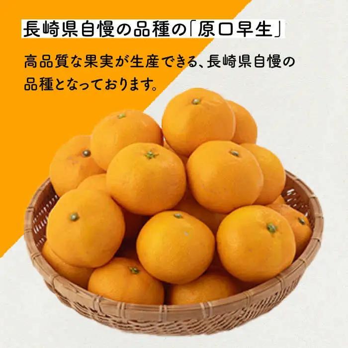 【先行予約】原口早生 みかん 約5kg [OCU003] みかん