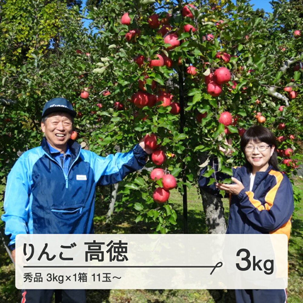 【ふるさと納税】《先行予約》令和7年産 2025年 山形県産 りんご 高徳りんご 秀品 約3kg(11~18玉) リンゴ 送料無料 ※沖縄・離島への配送不可 F20A-974