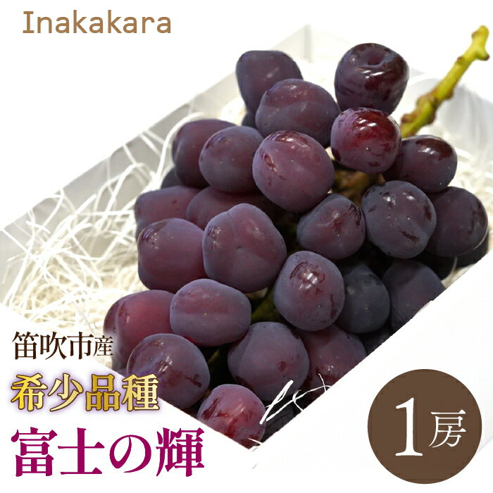 【ふるさと納税】【2026年発送★先行予約】　Inakakara 希少品種「富士の輝」1房(約600~650g) 192-024-26y ふるさと納税 おすすめ ランキング ぶどう ブドウ 葡萄 笛吹市 国産 人気 期間限定 果物 フルーツ 旬 山梨県 送料無料 192-024