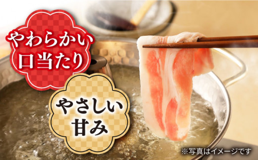 【 訳あり 】【3回 定期便 】 長崎 うずしおポーク 焼肉 ＆ しゃぶしゃぶ セット 1.4kg  豚肉 豚 焼き肉用 焼肉用 しゃぶしゃぶ 豚スライス ロース バラ ＜スーパーウエスト＞ [CAG