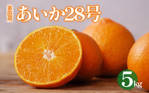 【2026年12月上旬から順次発送 】愛果28号（紅まどんな と同品種） 約5kg あいか 家庭用 愛果 みかん 柑橘 蜜柑 フルーツ 松山市 愛媛県 数量限定