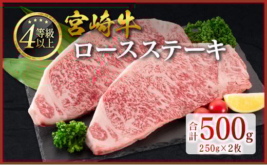
            宮崎牛 ロースステーキ 計500g（250g×2枚）肉質等級4等級 国産 人気 おすすめ【C346-2510-90】
          