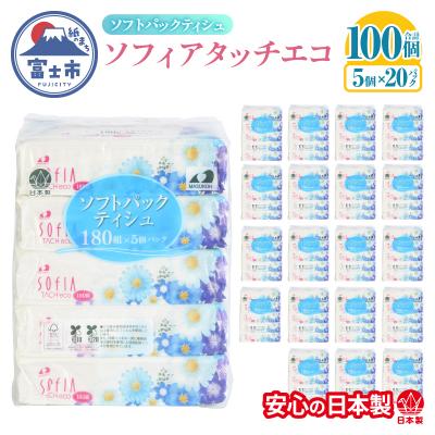 ふるさと納税 富士市 100パック!! ソフトパックティッシュ ソフィアタッチエコ ティッシュペーパー 日用品 大容量