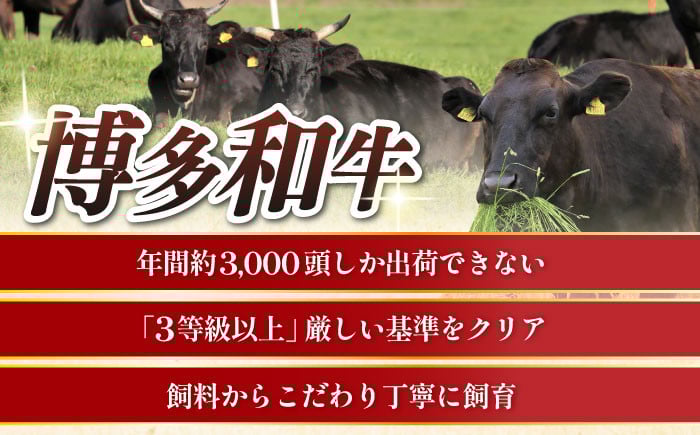 牛肉 肉 博多和牛 ギフト 贈答 ヒレ フィレ シャトーブリアン