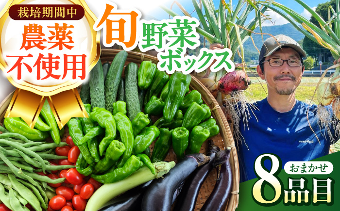 
            旬のお野菜 ボックス 栽培期間中化学肥料・農薬不使用 / やさい 季節の野菜 / 白川町 / 五段農園 [AWAW001]
          