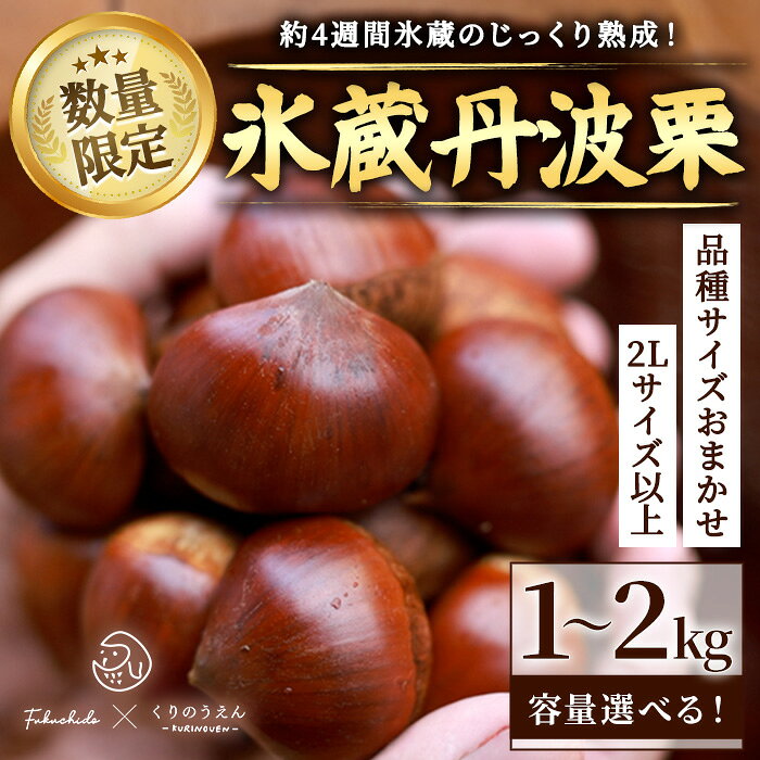 【ふるさと納税】＜先行予約受付中！2026年11月中旬以降順次発送予定！＞＜選べる＞くりのうえんの氷蔵丹波栗 品種サイズおまかせ 2L以上 (1～2kg) 京都 福知山産 栗 くり 丹波栗 大粒　詰め合わせ 秋 数量限定 期間限定 秋の味覚 1キロ 2キロ 【fc-UF001】【くりのうえん】