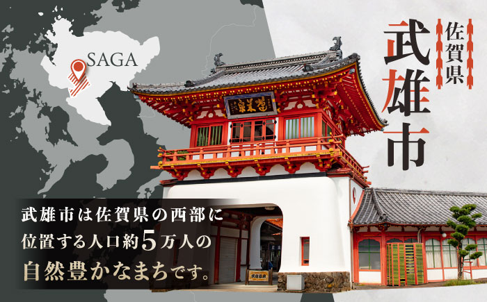 【応援寄附金】佐賀県武雄市 まちづくり応援寄附金 返礼品なし（5,000円分） [UZZ103]