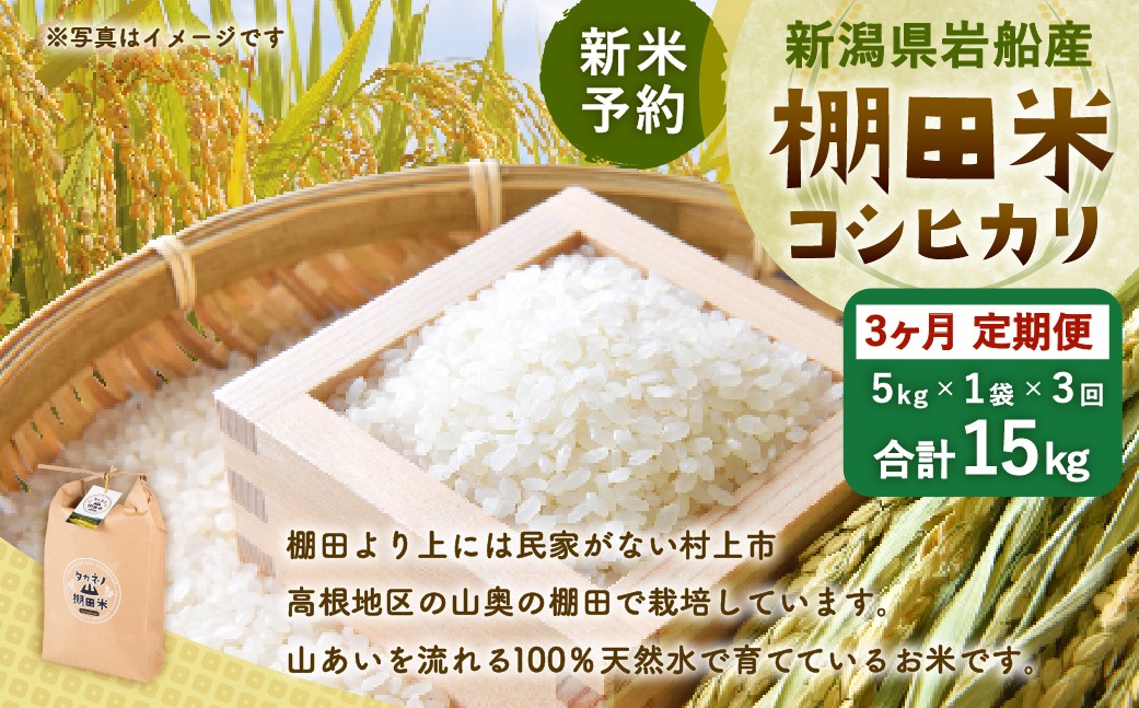 
                  【新米受付・令和8年産米】【定期便：3ヶ月連続でお届け】新潟県村上市岩船産 棚田米コシヒカリ 5kg×3ヶ月　1011003N
                