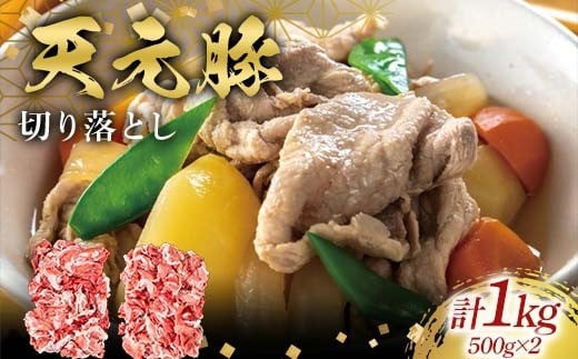 
            天元豚切り落とし500g×2 F2Y-6581
          