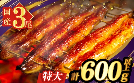 【2週間以内発送】うなぎ蒲焼3尾(さんしょう・たれ付き)計600g以上 鰻 魚 魚介 加工品 国産_T026-0147-2W