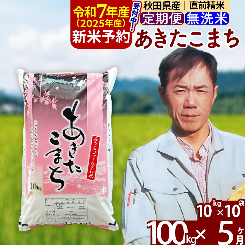 【ふるさと納税】※令和7年産 新米予約※《定期便5ヶ月》秋田県産 あきたこまち 100kg【無洗米】(10kg袋) 2025年産 お届け周期調整可能 隔月に調整OK お米 みそらファーム