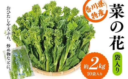 【先行予約】菜の花 約2kg (10袋入り) なの花 菜の花 おひたし 天ぷら 炒め物 春 野菜 食品 名産 四国 F5J-925