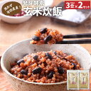 【ふるさと納税】洗わずそのまま 発芽酵素 玄米炊飯 セット 3合 (450g)×2セット 玄米 酵素玄米 うるち米 熟成 残留農薬ゼロ 国産 大分県 九重町 送料無料