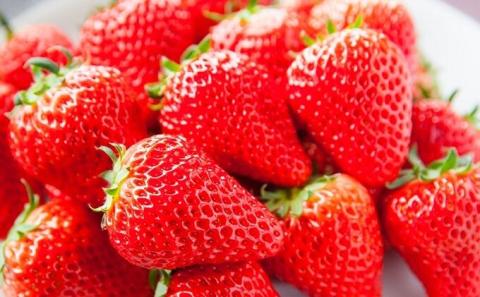 いちご やみつきになる果汁 さぬきひめ 苺 4パック 【2月以降発送開始】果物 フルーツ くだもの イチゴ さぬき姫 香川