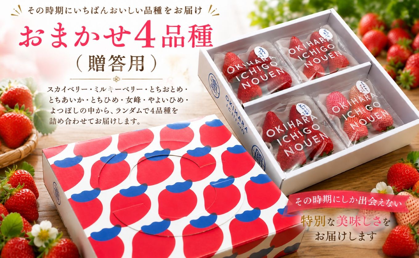 
                  【先行予約】いちご おまかせ4品種 贈答用｜いちご 苺 ichigo 女峰 ミルキーベリー とちひめ とちあいか とちおとめ やよいひめ 粒 栃木県 那珂川町 送料無料【栃木県共通返礼品】
                