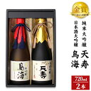 【ふるさと納税】天寿酒造 日本酒 大吟醸「鳥海」・純米大吟醸「天寿」セット 各720ml