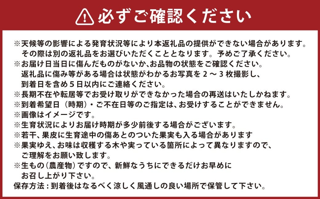 【年5回定期便】熊本おすすめフルーツ定期便（みかん・いちご・メロン＆デコポン・デコポン・メロン）