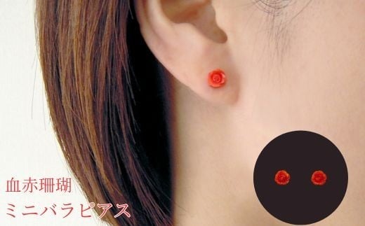 珊瑚 血赤珊瑚 ミニバラ ピアス K10イエローゴールド 天然サンゴ 一点物 アクセアクセサリー 厄除け お守り クリスマス バレンタイン 誕生日プレゼント 記念日 ホワイトデー ジュエリー 大人可愛い ギフト さんご サンゴ 高知県室戸市