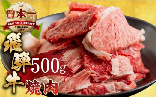 【11月発送】【訳あり】飛騨牛 焼肉 切り落とし 500g | 牛肉 肉 切落し わけあり ワケアリ 不揃い 冷凍 本巣市 トキノ屋 食品 訳有 焼肉セット 焼肉用  [mt505] 13000円