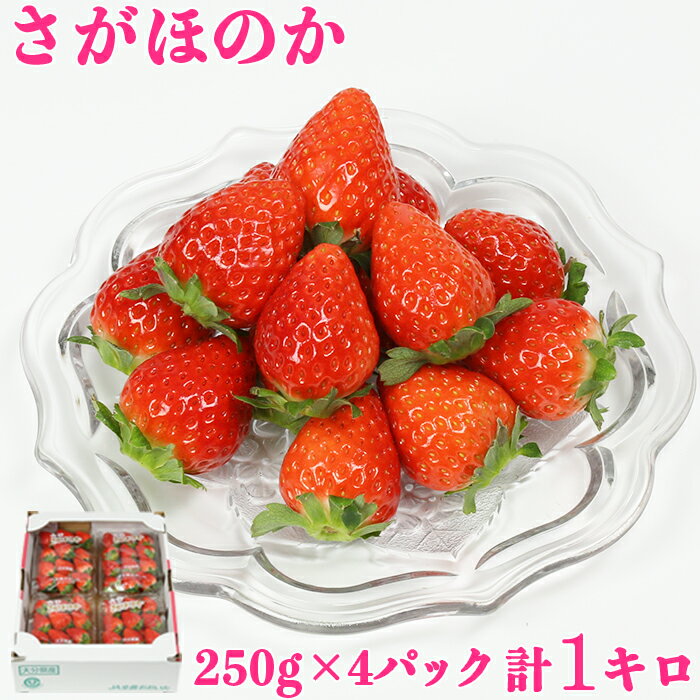 【ふるさと納税】さがほのか 約1kg（約250g×4パック）／ いちご 1kg 先行予約 1月 2月 フルーツ 苺 ＜133-003＞