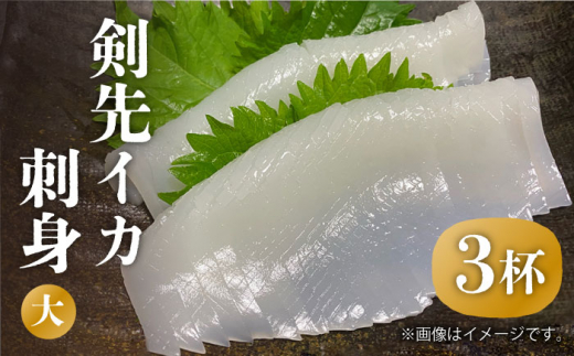 剣先イカ 刺身（大）3杯《壱岐市》【株式会社マルショウ】[JEW004] いか イカ 冷凍 剣先いか いかさし 海産物 魚介 刺し身 18000 18000円