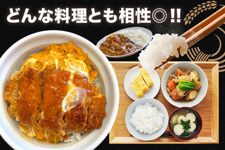 小西農産 令和7年産 コシヒカリ 5kg 米 KE-001