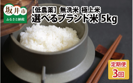 【令和6年産・新米】【3ヶ月連続お届け】福井県産 低農薬極上米 無洗米 5kg × 3回 計15kg 『こしひかり』[E-8806_01]