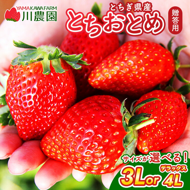【ふるさと納税】【選べる 3L or デラックス（4L）】とちおとめ 320g×2パック ｜ いちご 苺 イチゴ 贈答 フルーツ 果物 国産 平積み　※2026年1月中旬頃より順次発送予定