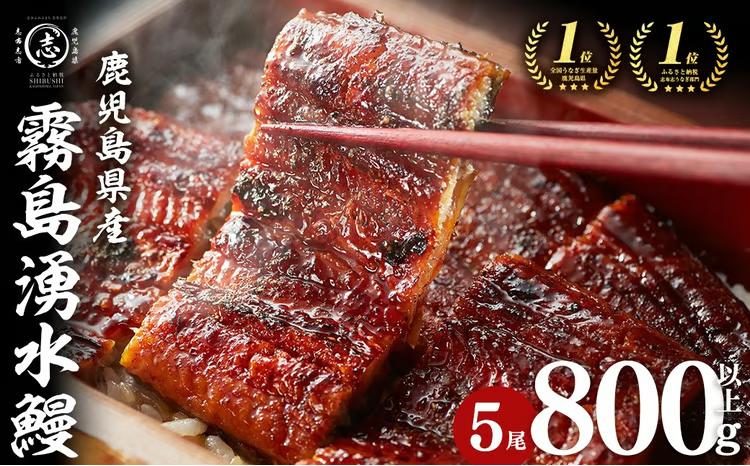 【お礼の品人気No1】霧島湧水鰻の蒲焼き 160g以上×5尾 ＜計800g以上＞ b3-031