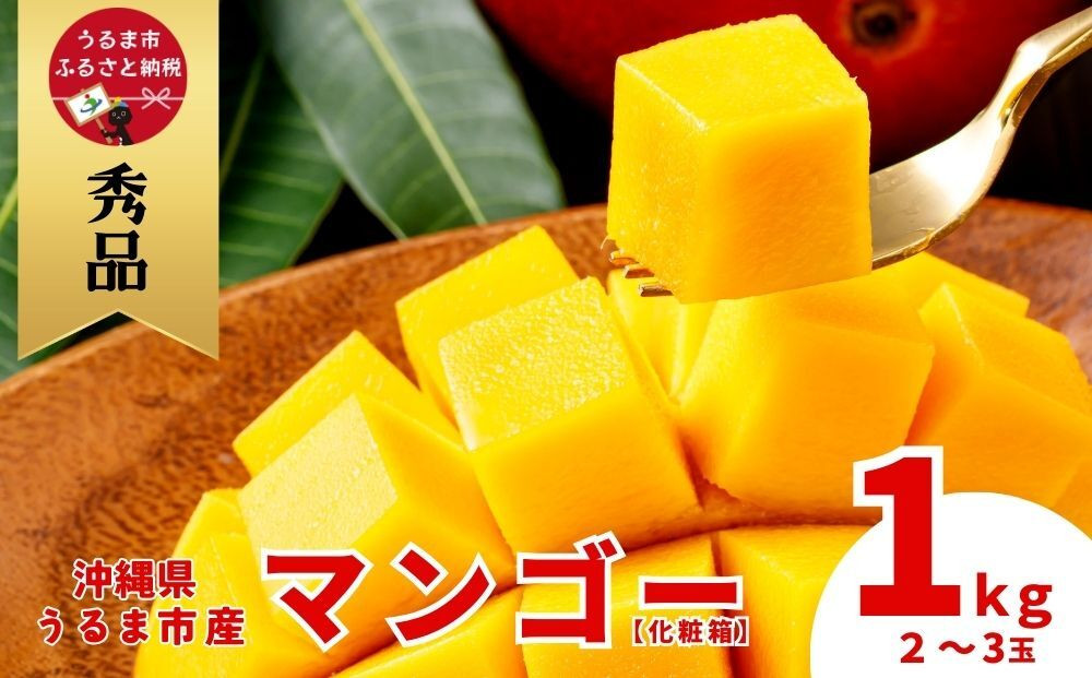 
沖縄県 うるま市産 完熟 マンゴー 秀品 1kg
