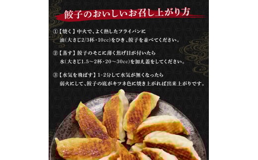 餃子 120個 国産野菜 国産豚肉 冷凍 餃子 大きめ ぎょうざ ギョウザ ギョーザ おつまみ 冷凍食品 食品 惣菜 中華 惣菜 業務用 おかず ビール  ( 冷凍餃子 大容量餃子 国産原料餃子 簡単