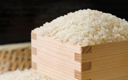 【食味鑑定士厳選】鳥取県産 きぬむすめ20kg(5kg×4袋) 精米【1644356】