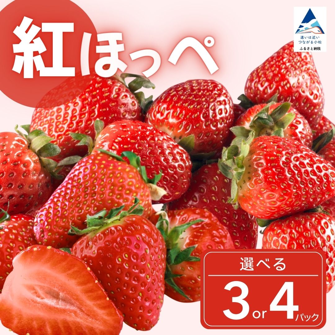 【ふるさと納税】 こまつイチゴ ( 紅ほっぺ )【 選べる 】 3パック（約750g） または 4パック（約1kg）いちご 苺 イチゴ フルーツ 甘い 小松産 シェア おすそわけ グルメ 人気 ランキング おすすめ ギフト 石川県 小松市 ふるさと 故郷 納税 008072【JAあぐり】