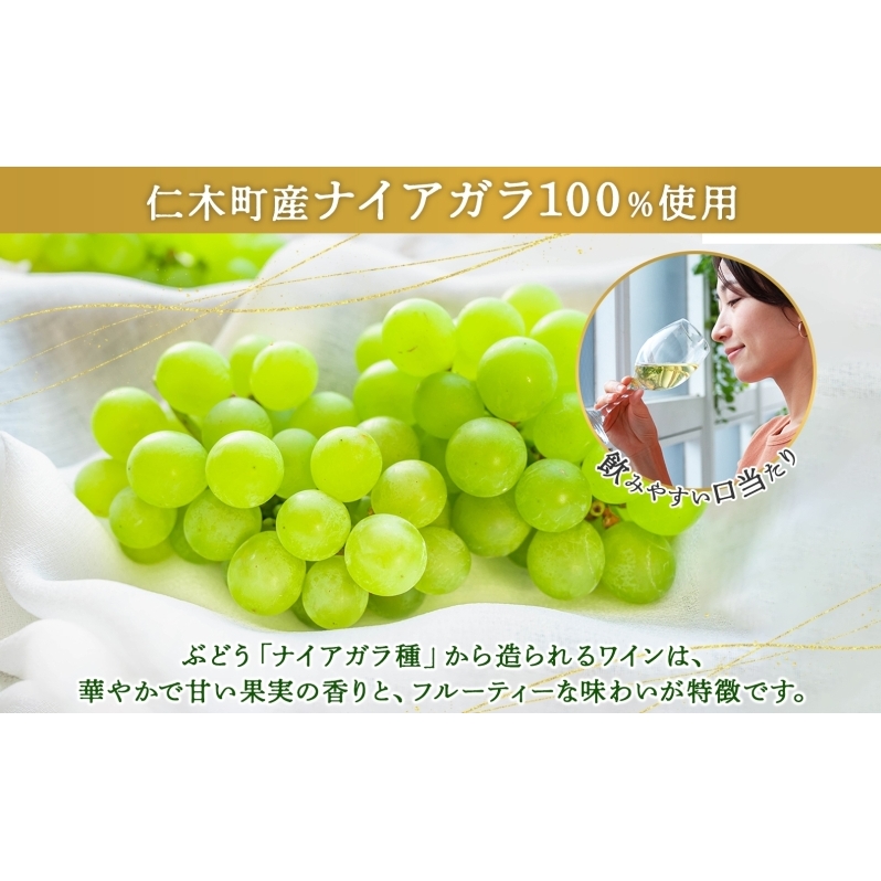 北海道産 スパークリング ワイン 750ml 2本 KPワイン Sテロワール ぶどう ナイアガラ 葡萄 ブドウ 白ワイン 辛口 酒 お酒 贈答 贈り物 お祝い ギフト 記念日 送料無料_イメージ3