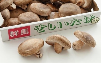 みなかみ町産　菌床生しいたけ「命」１ｋｇ