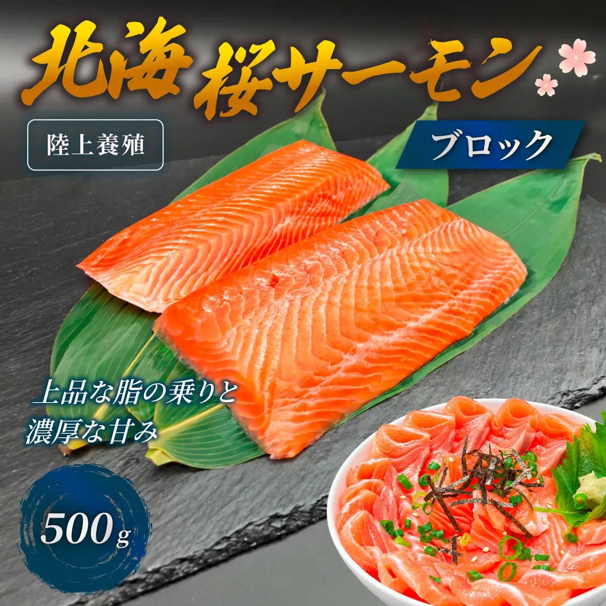 「陸上養殖」 北海桜サーモン ブロック 500g 冷凍 国産 北海道産 道産 松前産 トラウト サーモン 鮭 生鮭 刺身用 お刺身 生食用 柵 カルパッチョ サーモン丼 漬け丼 産地直送 お取り寄せ 海鮮 鮮魚 活〆 北海道 松前町MATP004