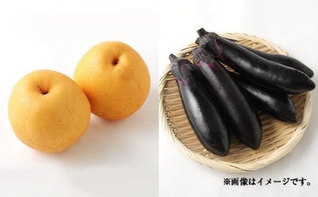 【定期便12回】豊野の恵み 野菜 果物 10品目程度 米 詰め合わせ