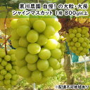 【ふるさと納税】ぶどう 2024年 先行予約 黒川農園 自慢 ! の大粒 大房 シャイン マスカット 1房 800g以上 ブドウ 葡萄 岡山県産 国産 フルーツ 果物 ギフト　果物類・ぶどう・マスカット・フルーツ　お届け：2024年10月上旬～2024年10月下旬