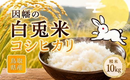 
                  因幡の白兎米 コシヒカリ 令和8年産 精米済 10kg（5kg×2袋）
                