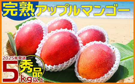 マンゴー【2026年発送】完熟アップルマンゴー秀品・約5kg